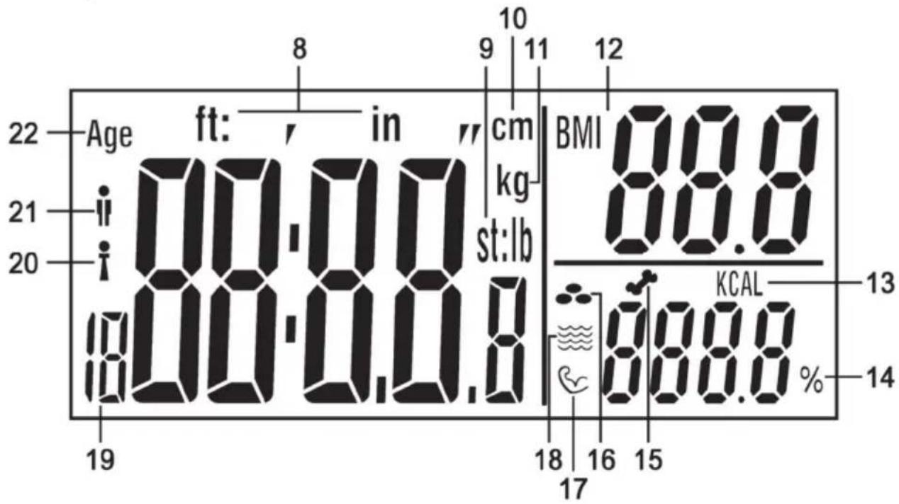 22 Age ft: in cm BMI 88.8 21 i 00:00 kg st:lb KCAL 13 20 i 00:00.8 % 88.8 19 18 16 15 14 8 9 10 11 12