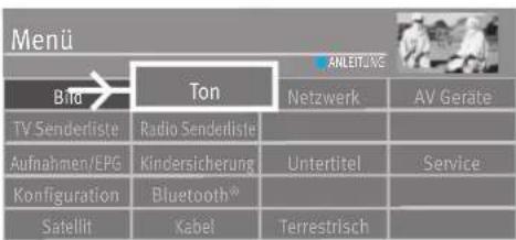 Menü Bta Ton ANLEIT/AGC Netzwerk AV Geräte TV Senderliste Radio Senderliste Aufnahmen/EPG Kindersicherung Untertitel Service Konfiguration Bluetooth® Sætellt Kabel Terrestrisch