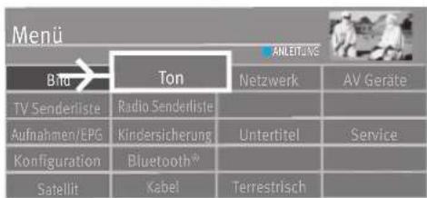 Menü Btu Ton ANLEIT/NC Netzwerk AV Geräte TV Senderliste Radio Senderliste Aufnahmen/EPG Kindersicherung Untertitel Service Konfiguration Bluetooth® Satellit Kabel Terrestrisch