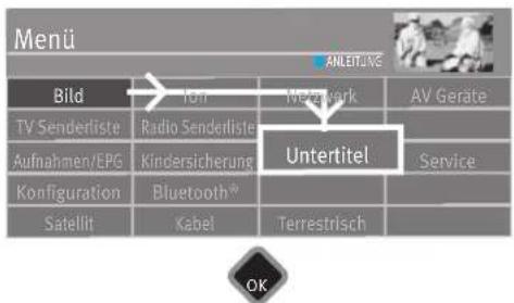 Menü Bild TV Senderliste Aufnahmen/EPG Konfiguration Satellit Ion Radio Senderliste Kindersicherung Bluetooth® Kabel Anteletive Newark Untertitel Service Terrestrisch OK
