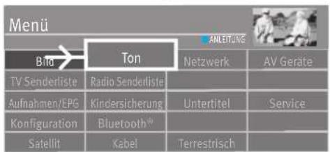 Menü Bta Ton ANLEIT/AVE Netzwerk AV Geräte TV Senderliste Radio Senderliste Aufnahmen/EPG Kindersicherung Untertitel Service Konfiguration Bluetooth® Satellit Kabel Terrestrisch