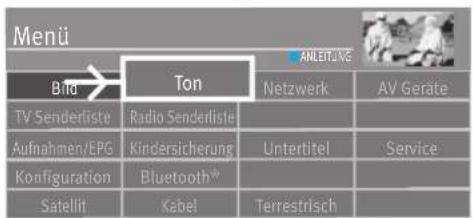 Menü Bta Ton ANLEIT/AVE Netzwerk AV Geräte TV Senderliste Radio Senderliste Aufnahmen/EPG Kindersicherung Untertitel Service Konfiguration Bluetooth® Satellit Kabel Terrestrisch