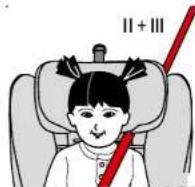 BabyGO Nova - NOVA - 5