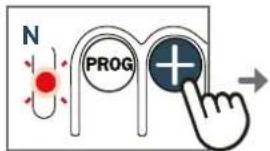 N PROG