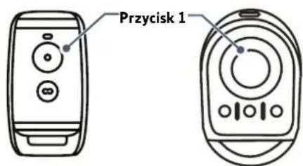 Przycisk 1