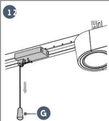 12 G