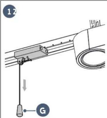 12 G