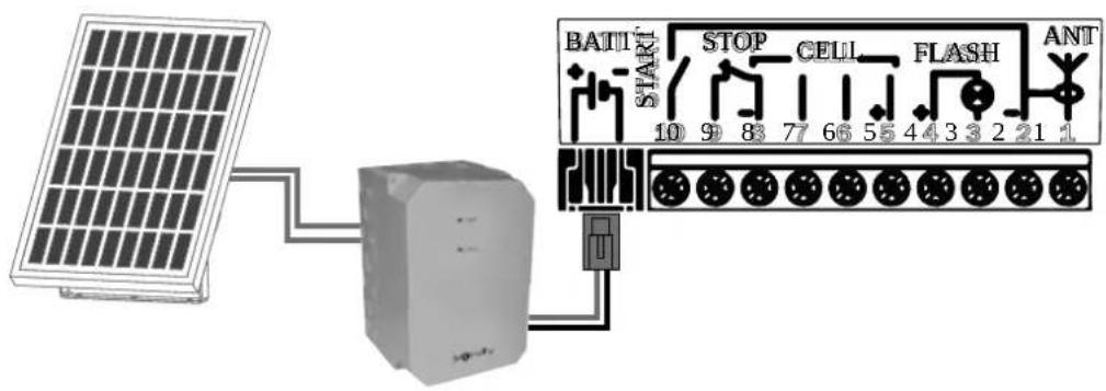 BATII STAKI STOP CELL FLASH ANT 10 9 83 77 66 55 44 3 2 1 1