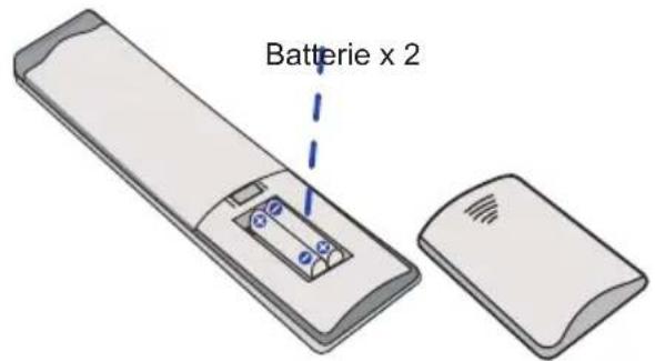 Batterie x 2