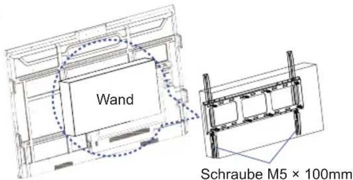 Wand Schraube M5 × 100mm