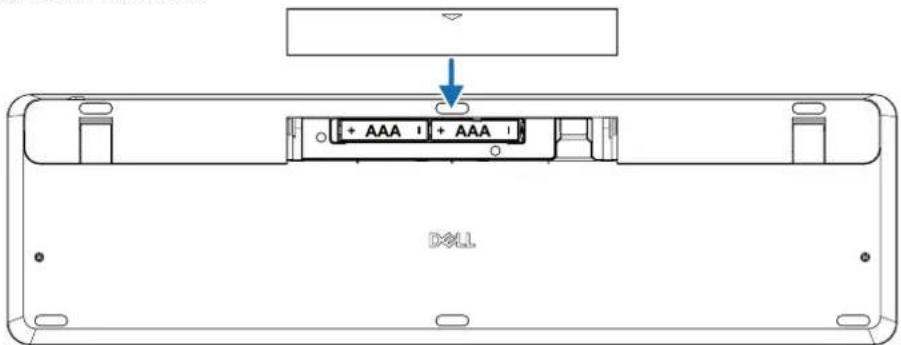 + AAA + AAA DCLL