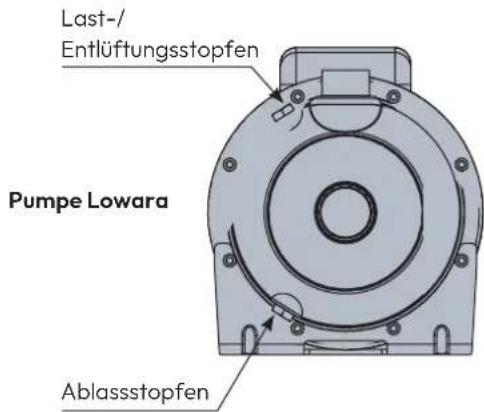 Last-/Entlüftungsstopfen Pumpe Lowara Ablassstopfen