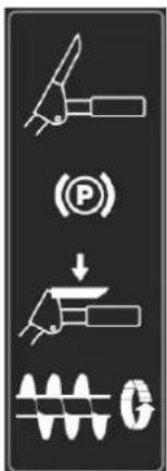 (P) ↓ G