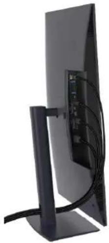 DELL U3226Q - Ihre Kabel verlegen - 1