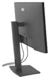 DELL P2426E - Ihre Kabel organisieren - 2