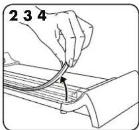 2 3 4