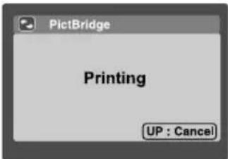PictBridge Printing UP : Cancel