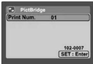 PictBridge Print Num. 01 102-0007 SET : Enter