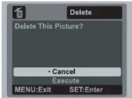 Delete Delete This Picture? • Cancel Execute MENU:Exit SET:Enter
