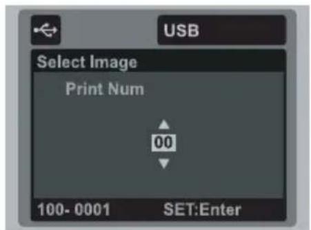USB Select Image Print Num 00 100- 0001 SET:Enter