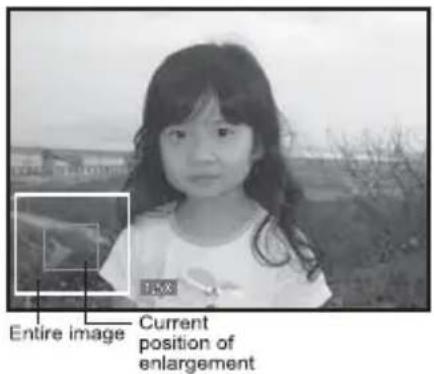 Entire image Current position of enlargement