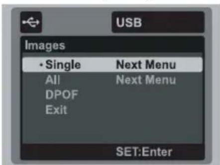 USB Images • Single Next Menu All Next Menu DPOF Exit SET:Enter