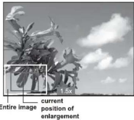 Entire image current position of enlargement 1.5x