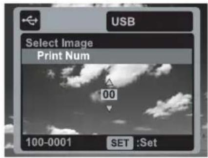 USB Select Image Print Num 00 100-0001 SET :Set