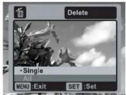 Delete • Single All MENU :Exit SET :Set