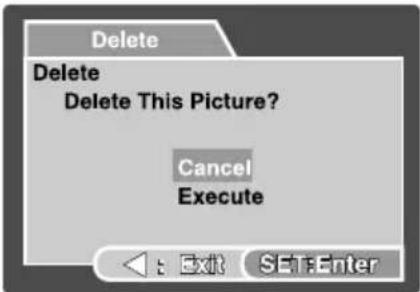 Delete Delete Delete This Picture? Cancel Execute Exit SET Enter