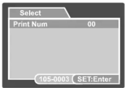 Select Print Num 00 105-0003 SET:Enter