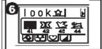 6 | look ★ 41 42 43 44