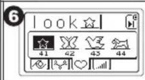 6 look 41 42 43 44