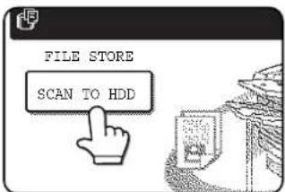 FILE STORE SCAN TO HDD