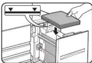 SHARP MX-M620U - Place the paper in the center of the paper table. - 1