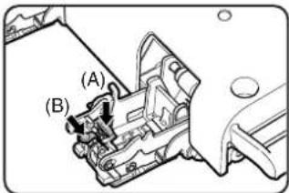 (A) (B)