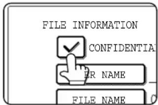 FILE INFORMATION CONFIDENTIAL ER NAME FILE NAME