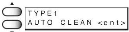 TYPE1 AUTO CLEAN