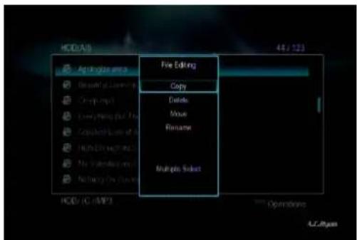 HOLD/ALB 44 / 123 File Editing Copy Delete Mouse Rename Multiple Select HOLD (C:\MP3 A.C.Bigars