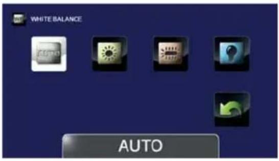 TOSHIBA Camileo X416 - White Balance - 5