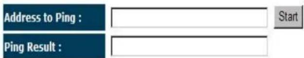 Address to Ping : Ping Result :