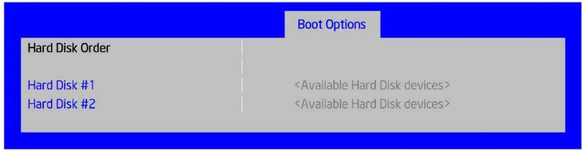 Boot Options Hard Disk Order Hard Disk #1 Hard Disk #2