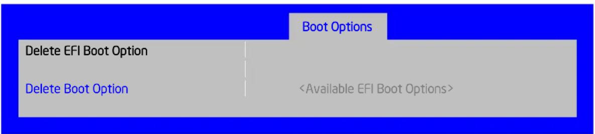 INTEL HNS2600JFF - Delete EFI Boot Option - 1