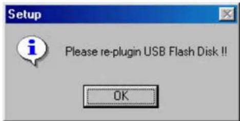 Setup Please re-plugin USB Flash Disk !!