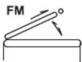 FM