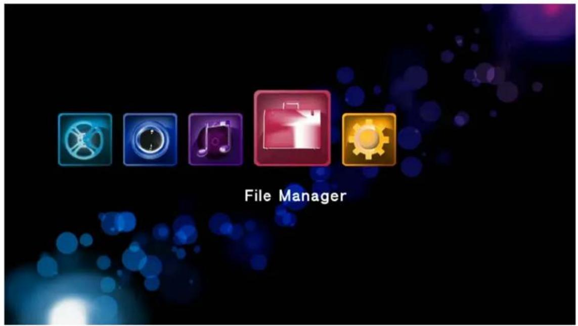 File Manager