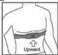 Pyle PGSPW1 - WEARING THE TRANSMITTER BELT - 1