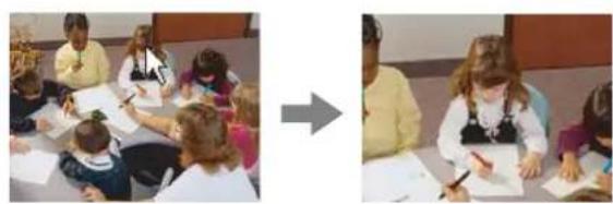 SONY SNC-DM160 - Zooming in the monitor image - 1
