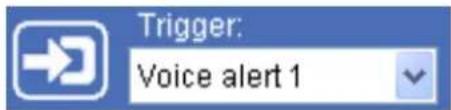 Trigger: Voice alert 1