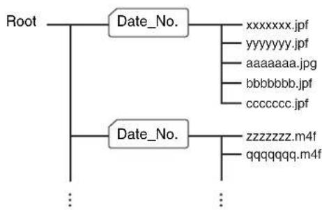 SONY SNC-DM160 - Folder structure of image memory - 1